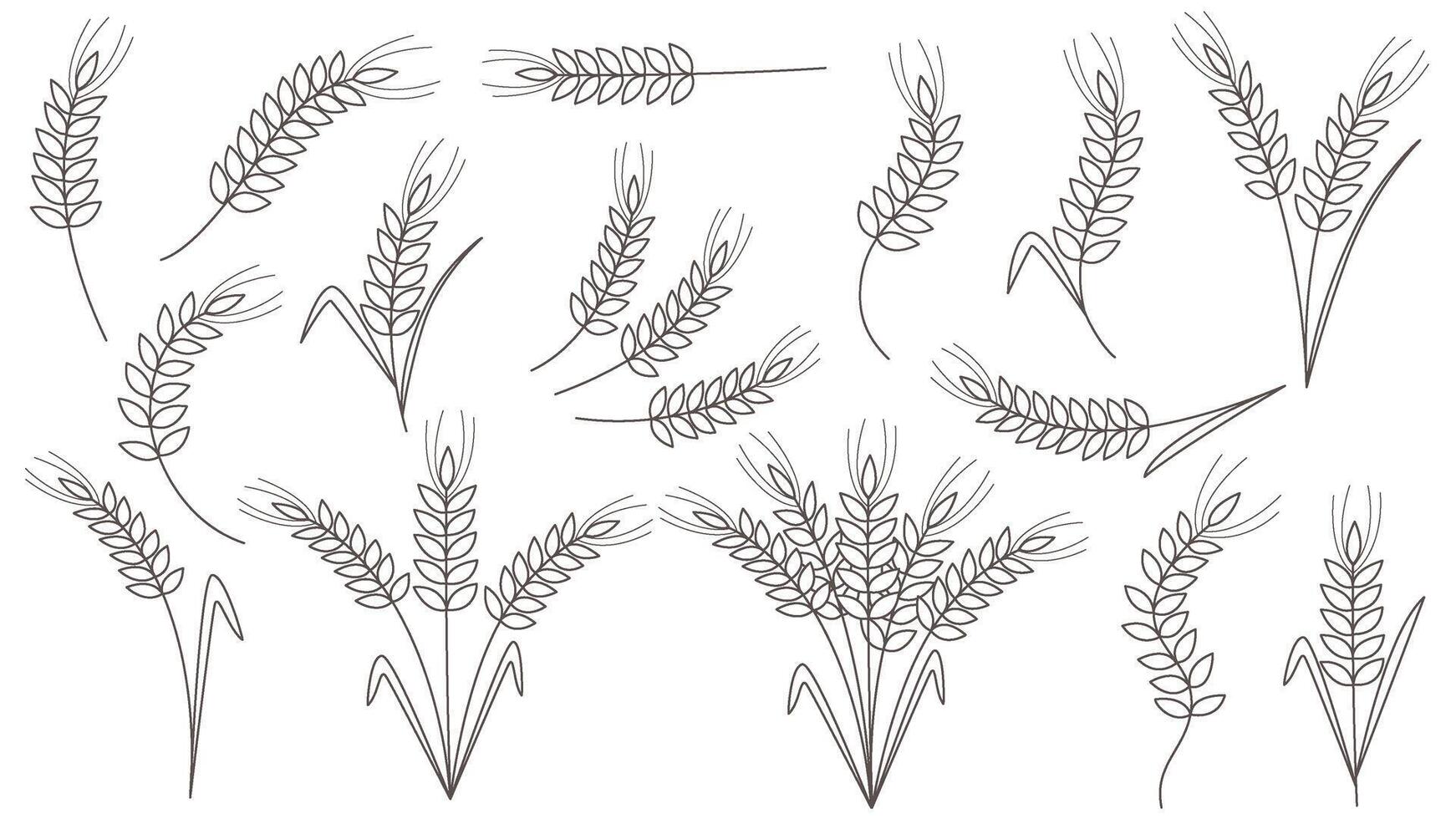 Thin line icons of cereal ears vector