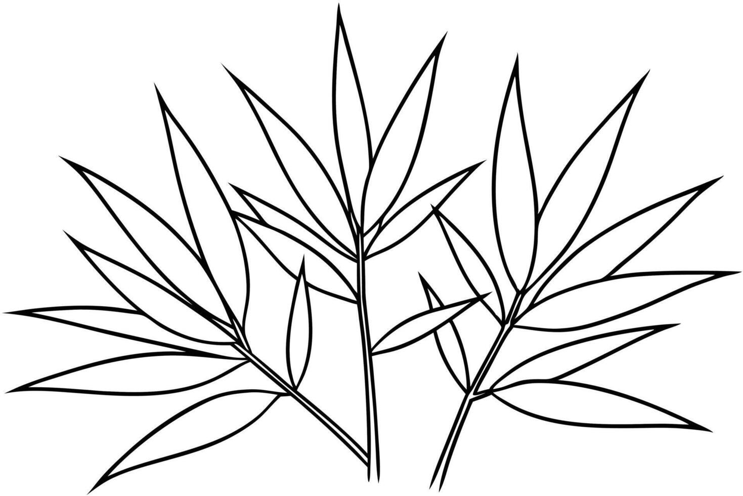 A drawing of leaves on a white background vector