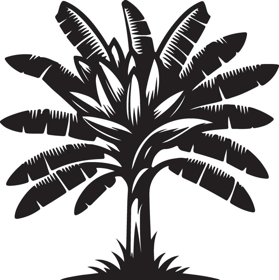 Banana Tree Black and White Illustration Tropical Plant Silhouette vector