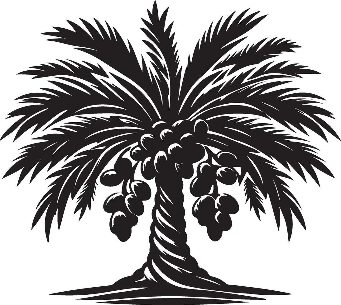 Date Palm Tree Black Silhouette Tropical Fruit vector