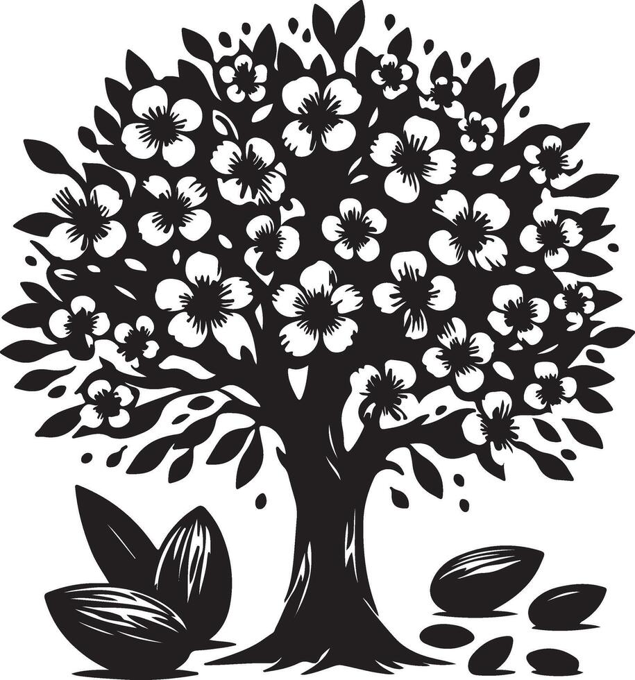 Almond tree blossoms and nuts black and white illustration vector
