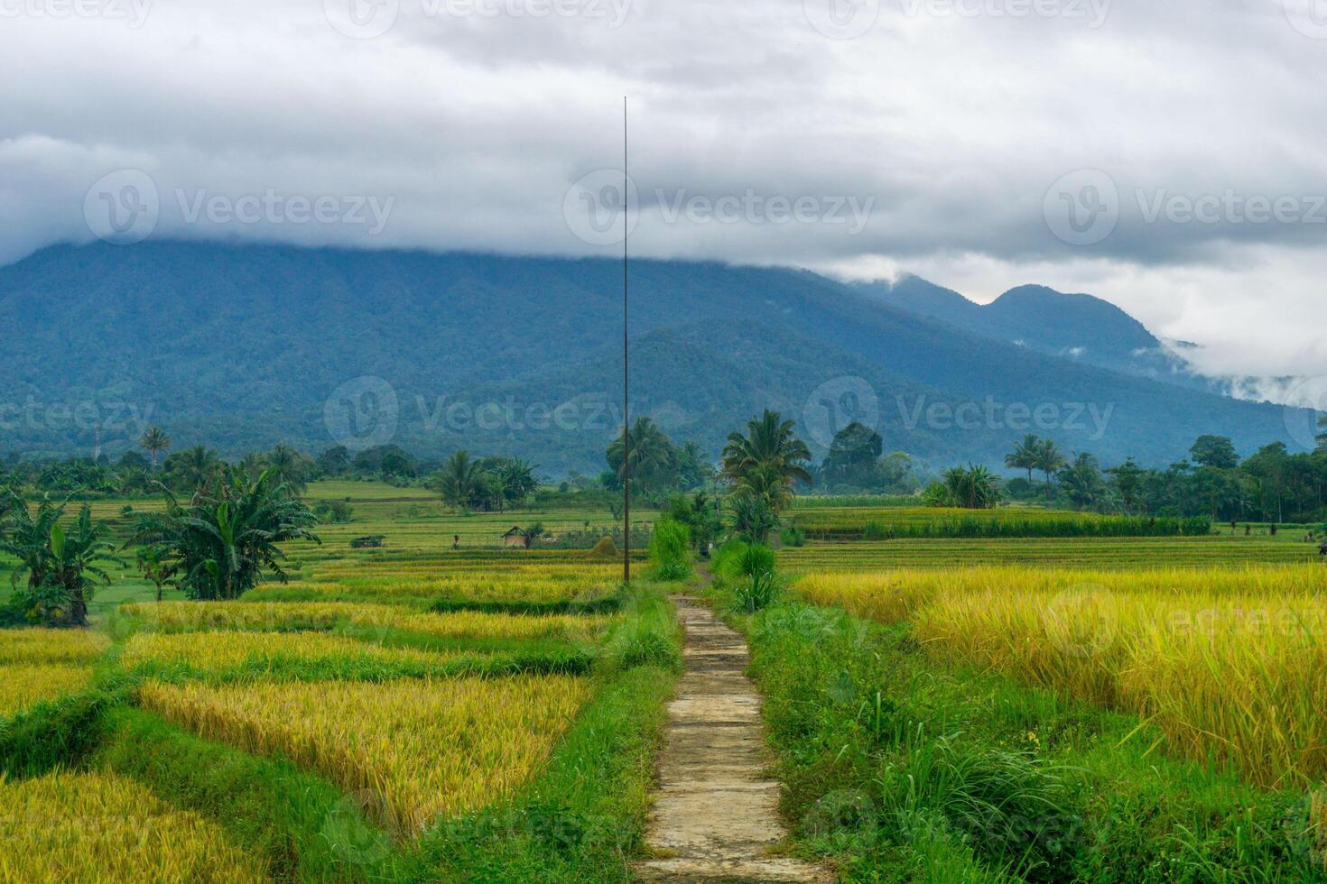 A path leading to a mountain photo