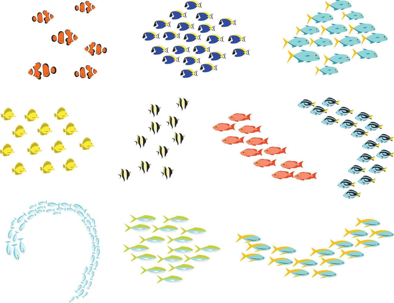 A vibrant set of tropical fish illustrations in various swimming formations, ideal for ocean themes, marine visuals, and aquarium inspired designs. vector