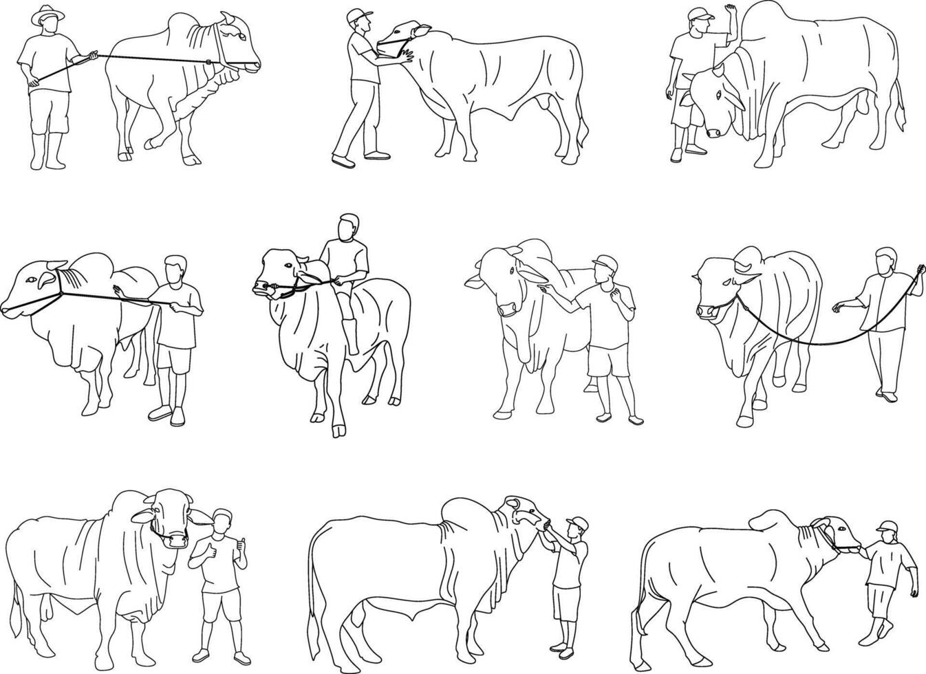 A line style illustration set showing people with qurban cows in Eid al Adha scenes, for Islamic holiday visuals, educational materials, and cultural event designs vector