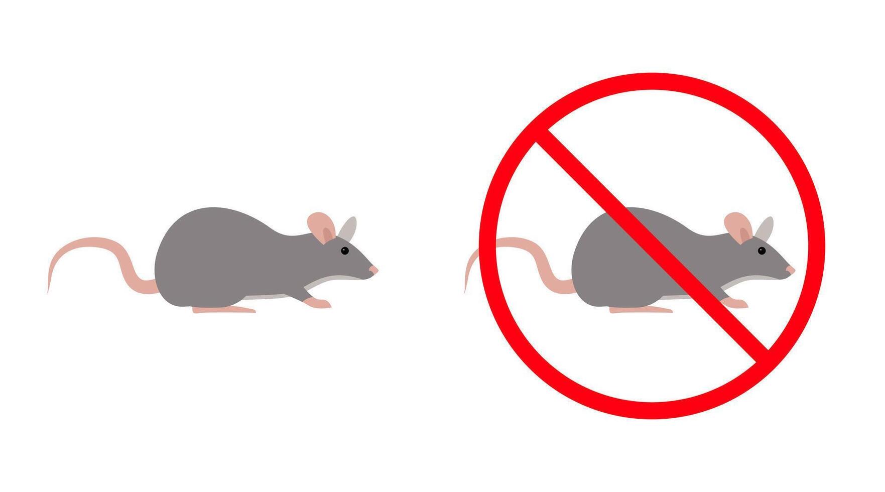 Gray rat and no rats sign representing deratization and pest control vector
