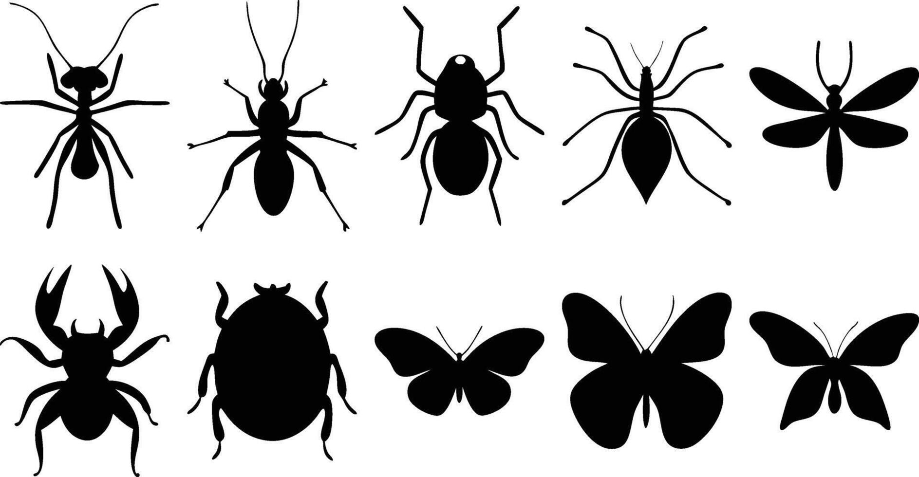 Nature Insect Shapes vector