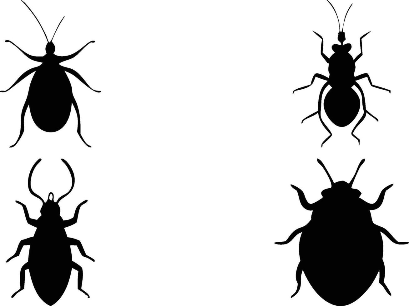Beetle Design Elements vector