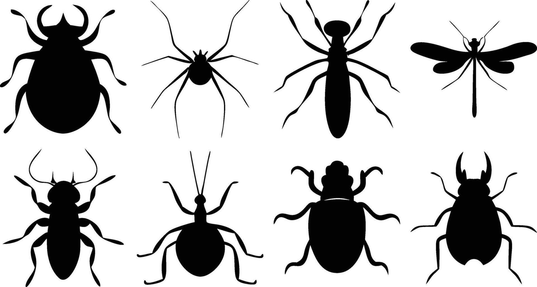 Entomology Insect Art vector