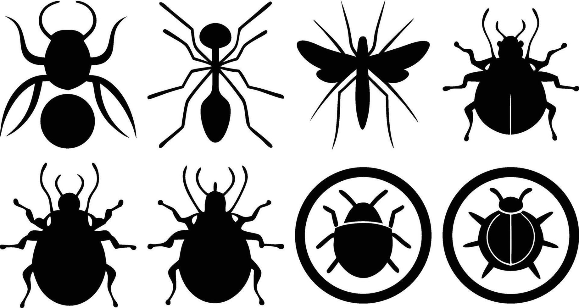 Detailed Bug Illustrations vector