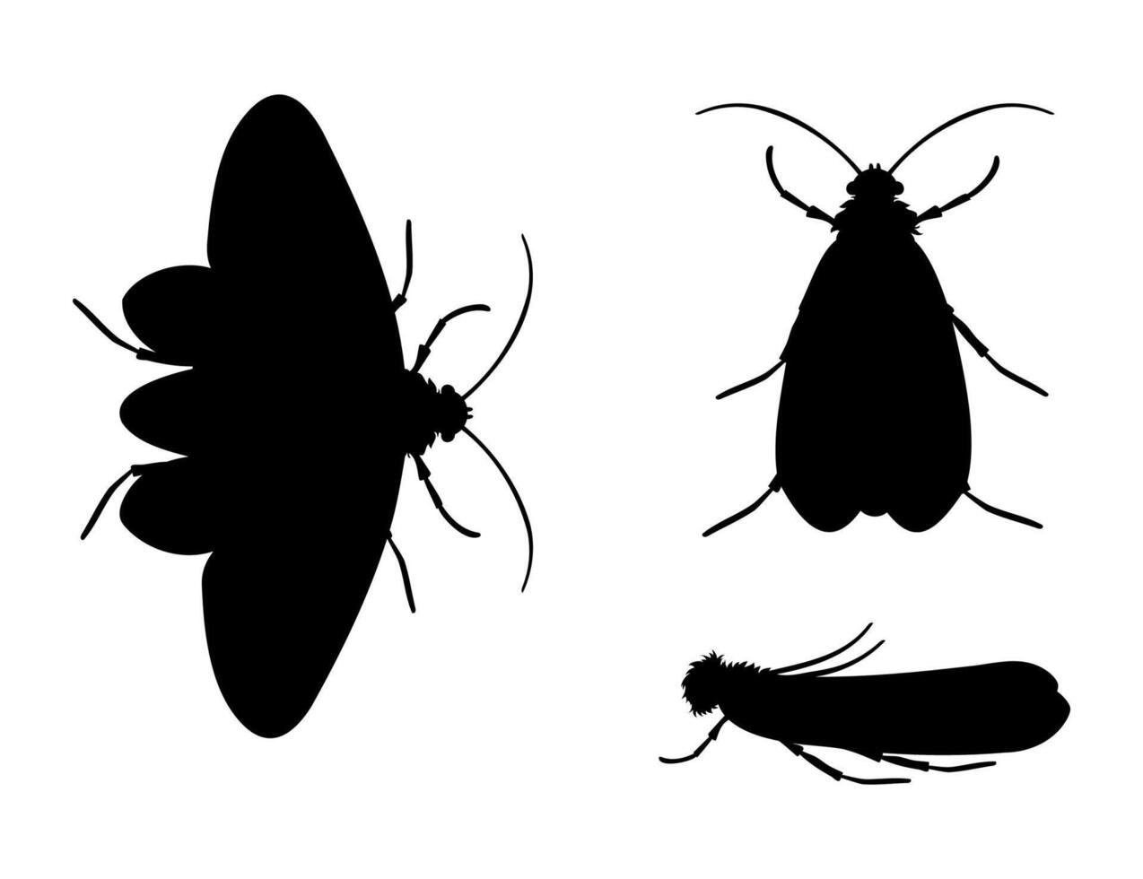 Clothes moth silhouette in different positions representing common house pest vector