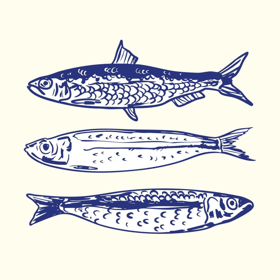 Vintage Blue Sardine Fish Line Art Trio vector
