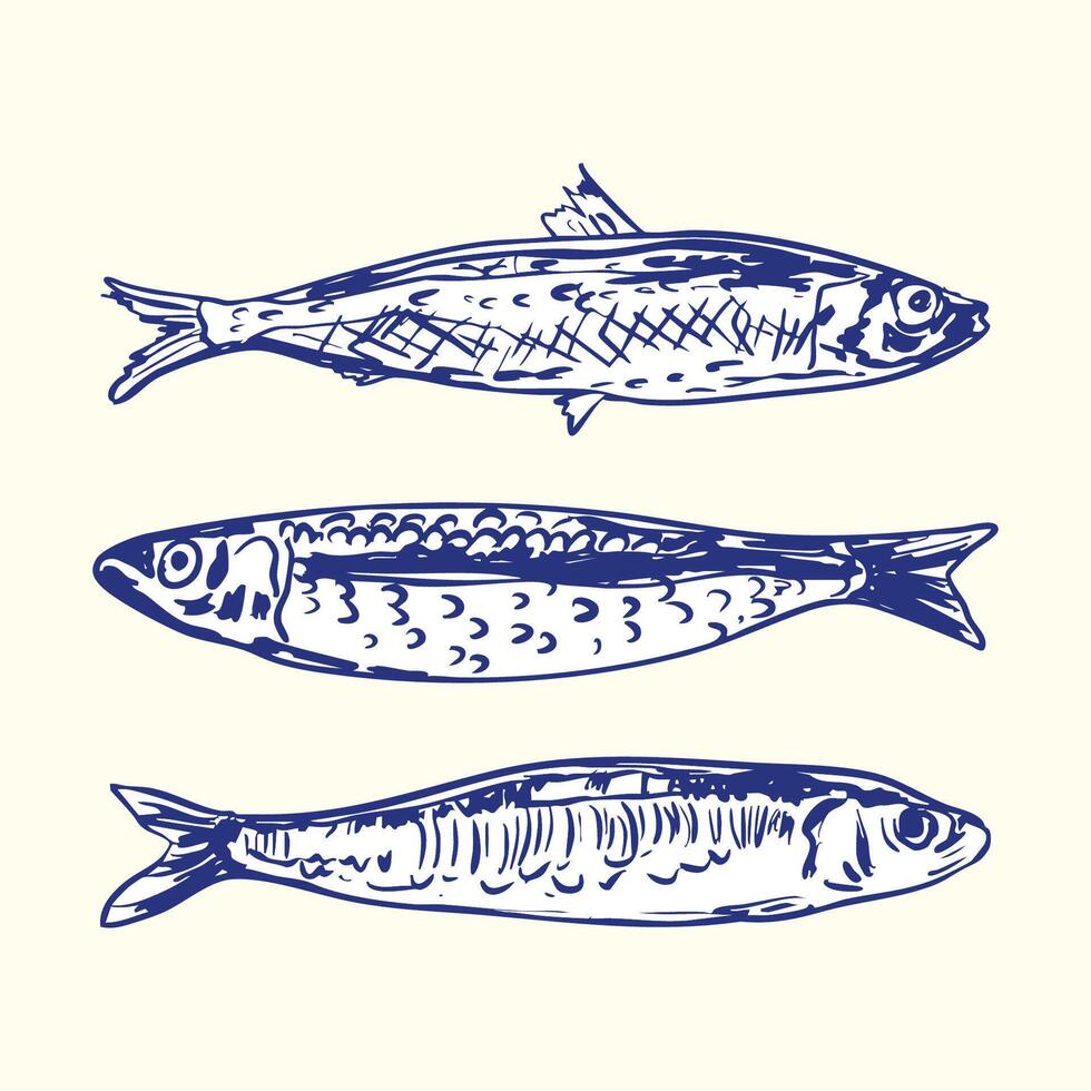 Hand-Drawn Sardines Fish Set Illustration vector