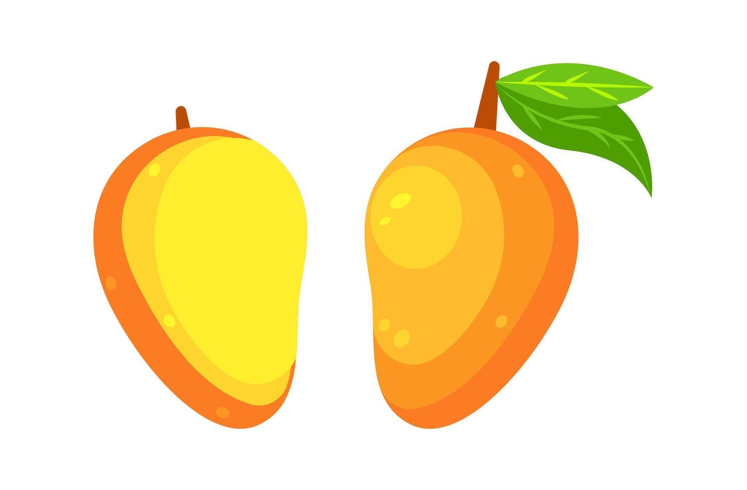 Fresh Mango Fruit Showing Whole and Cross Section with Green Leaf vector