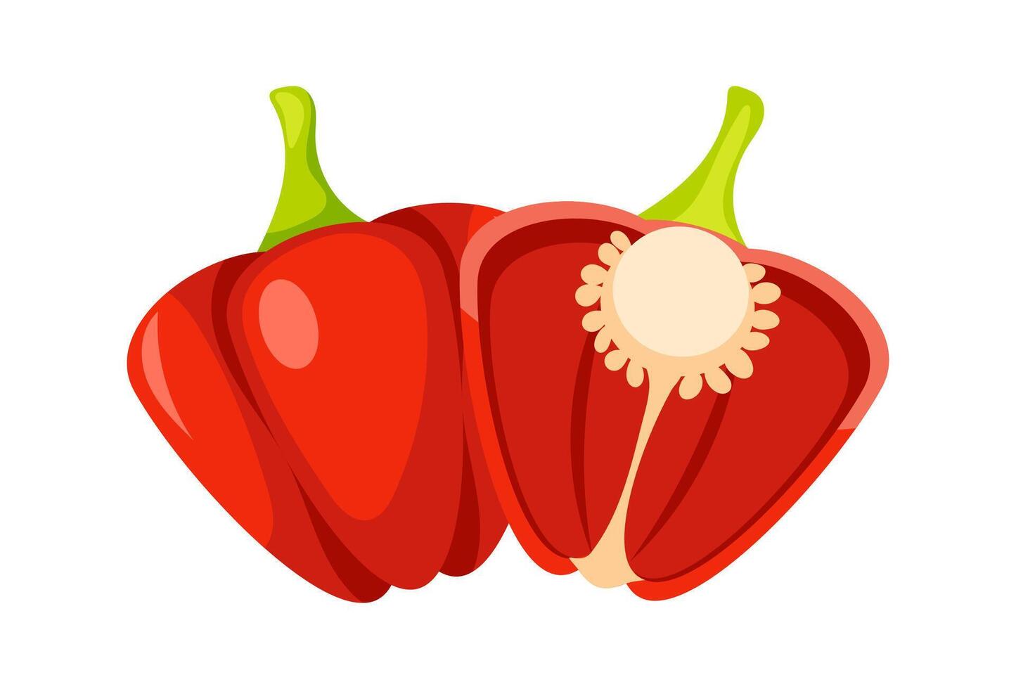 Fresh red bell pepper cut in half showing seeds and stem vector