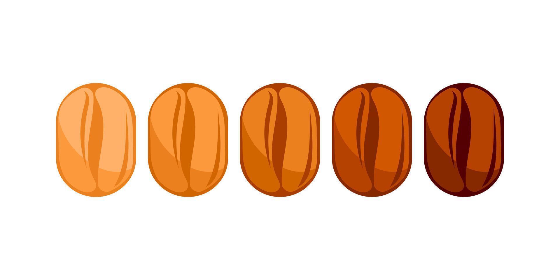 Five coffee beans showing different roasting levels from light to dark vector