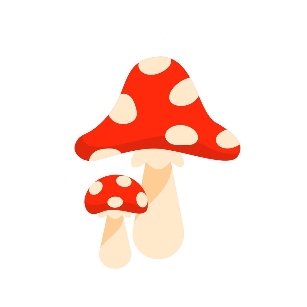 Two Poisonous Mushrooms Growing in the Forest vector