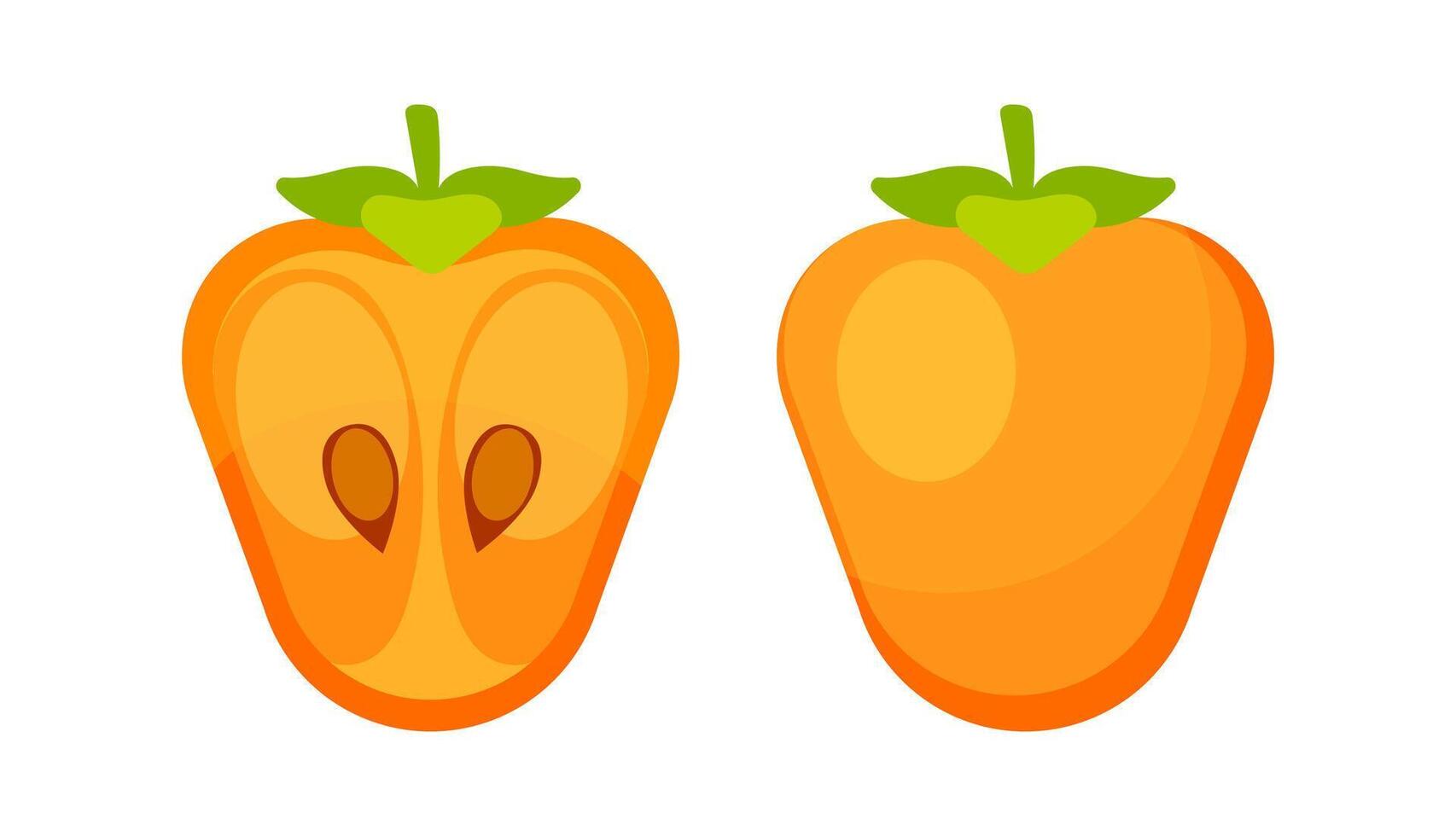Fresh Persimmon Fruit and Half Persimmon Showing Seeds and Pulp vector