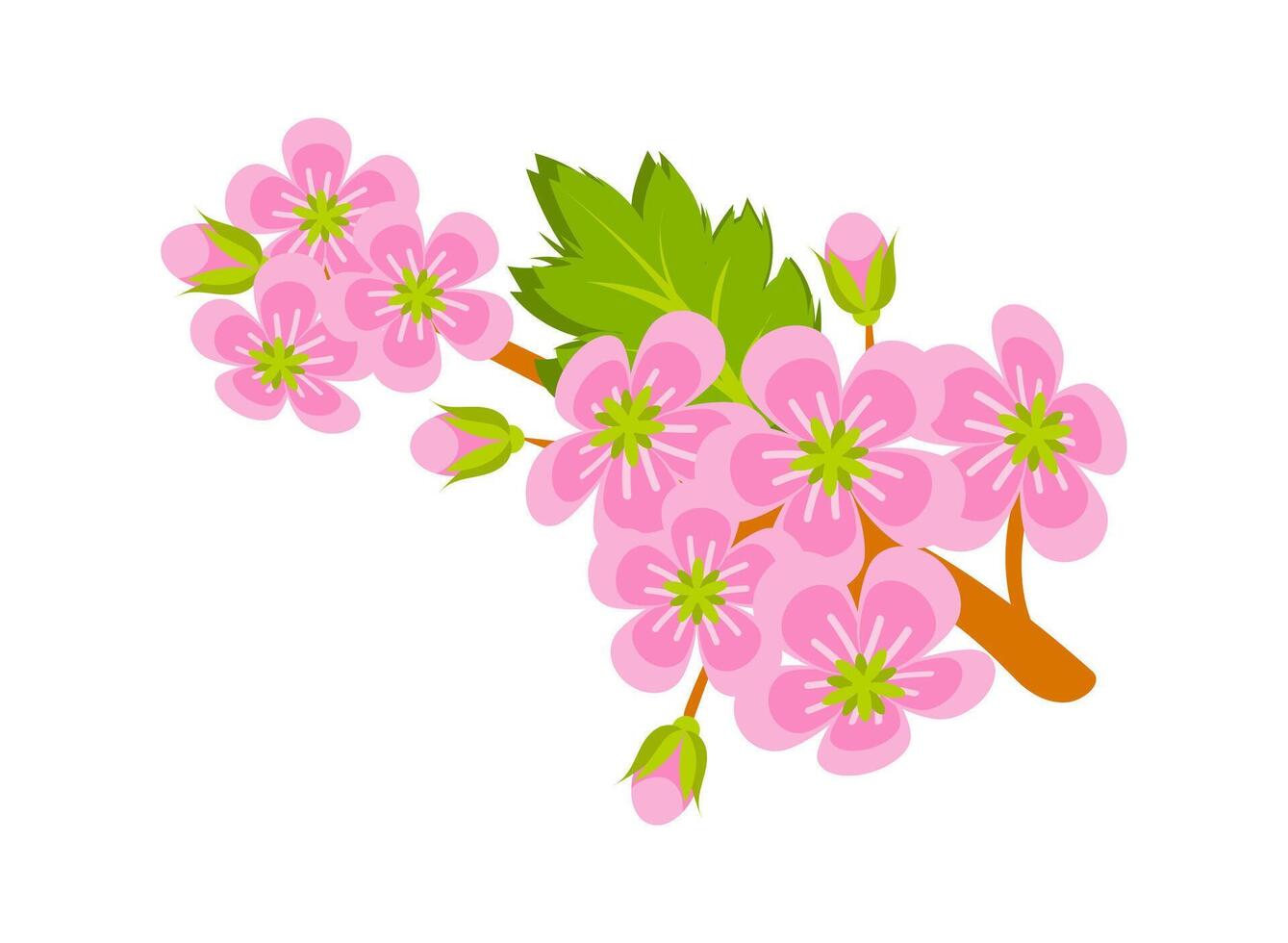 Blooming sakura branch with pink flowers and green leaves is growing vector