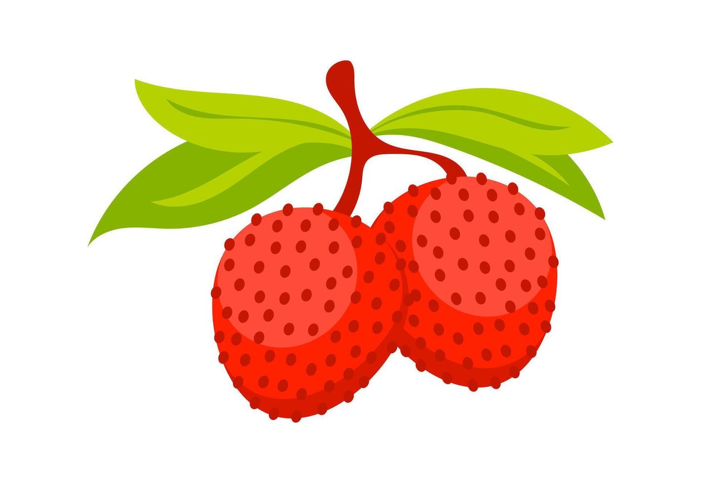 Two ripe lychees hanging from branch with green leaves vector