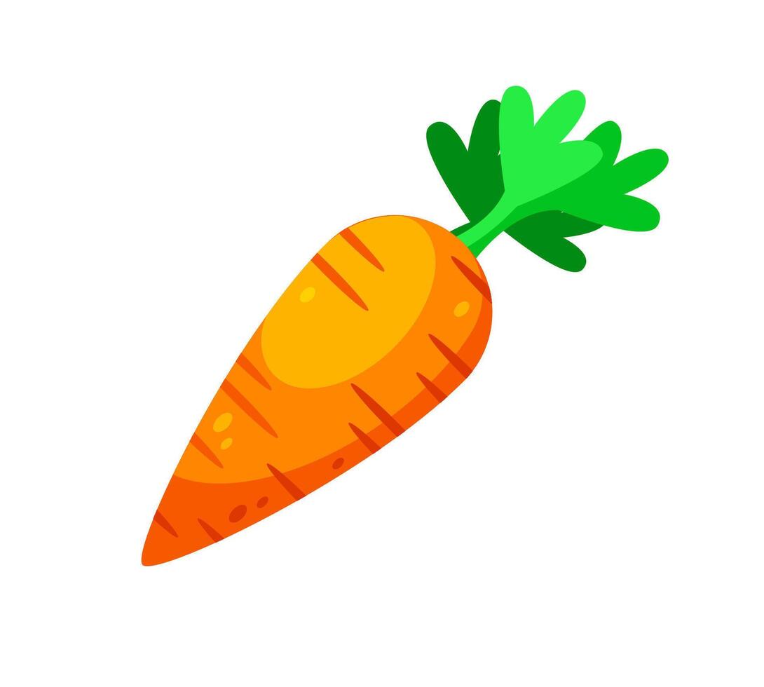 Fresh Orange Carrot with Green Leaves on White Background vector
