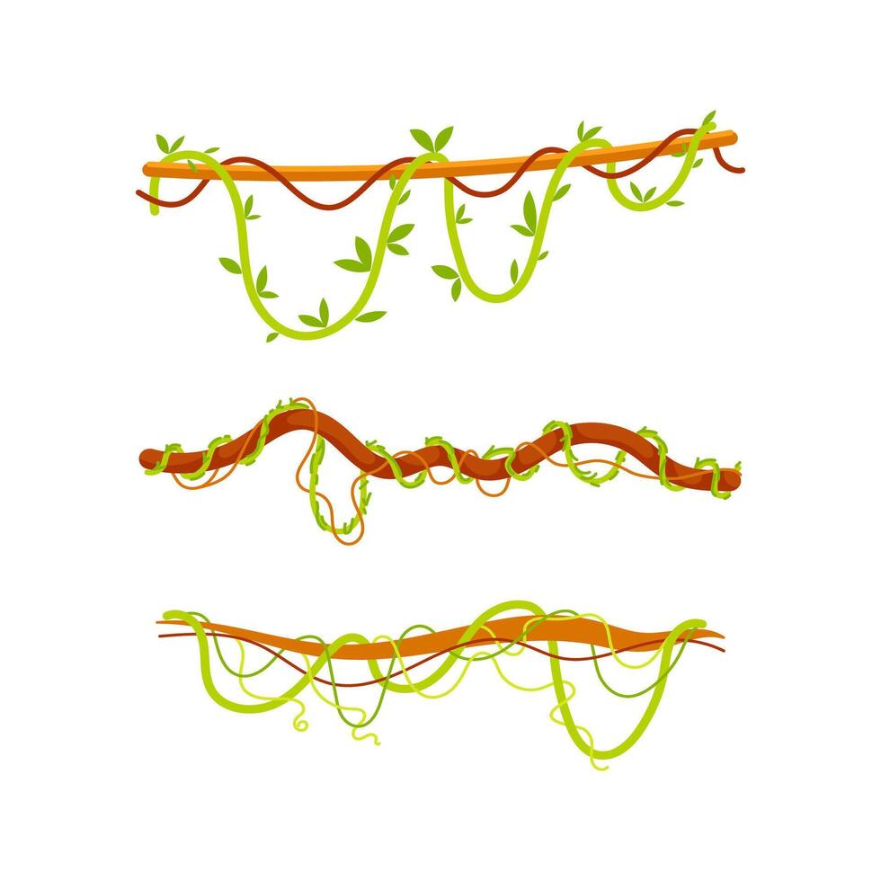 Twisted wild lianas hanging from tree branches in the jungle vector