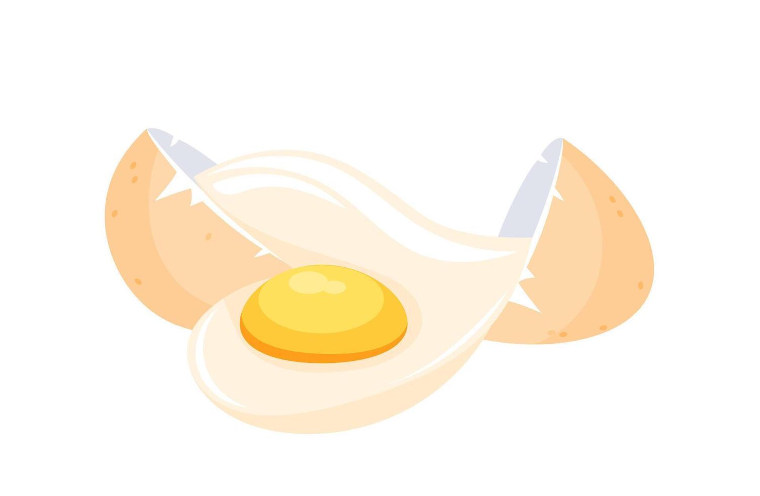 Broken egg releasing egg white and yolk on white background vector