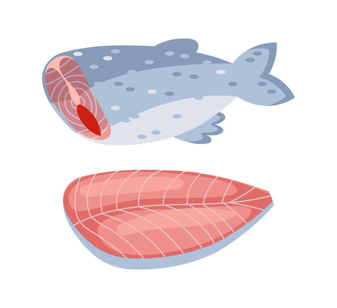 Fresh salmon steak and whole fish showing red meat vector