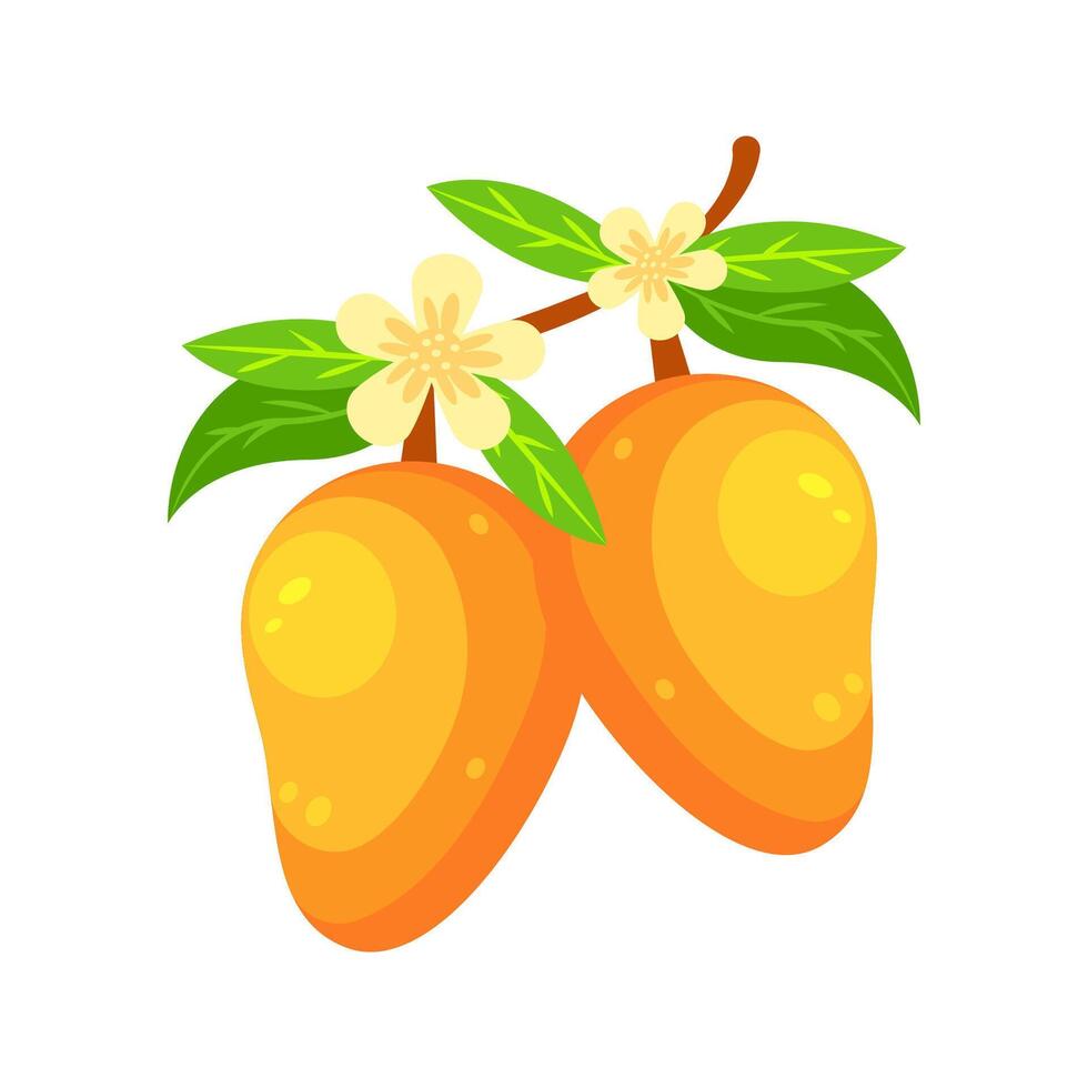 Two ripe mangoes hanging from branch with flowers and leaves vector
