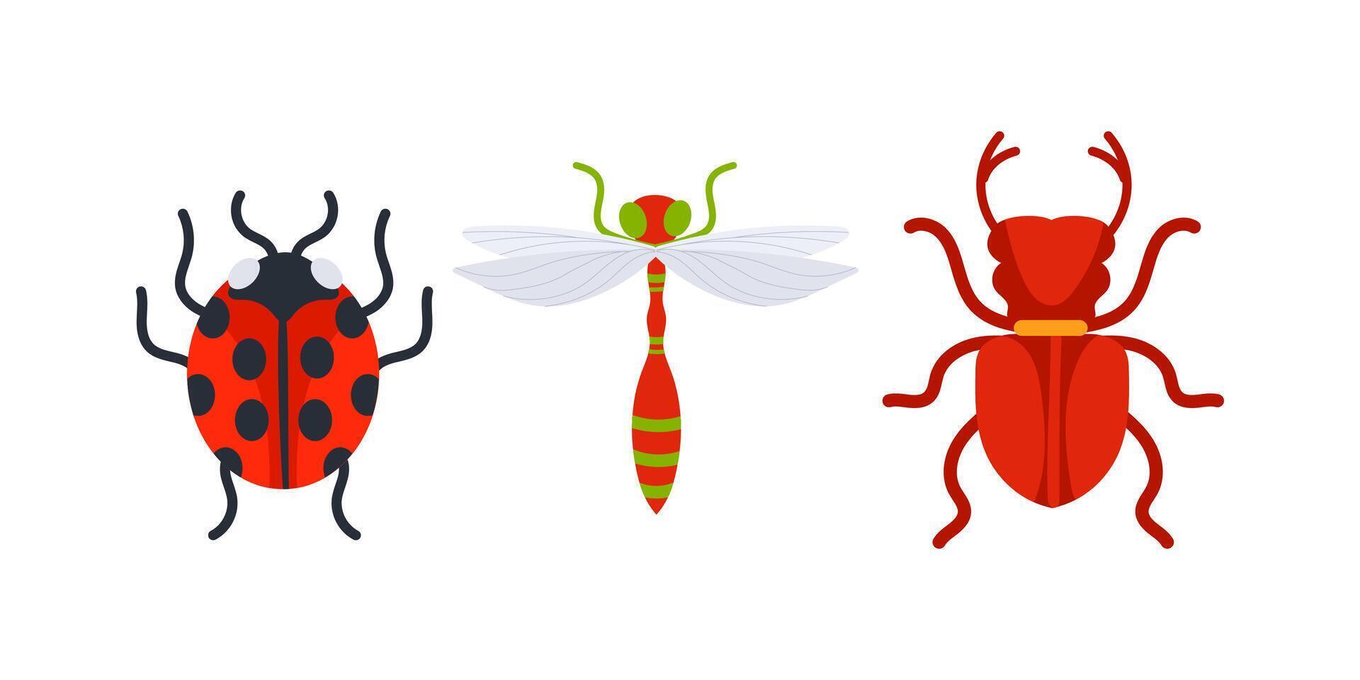 Ladybug, dragonfly and beetle showing insect diversity vector