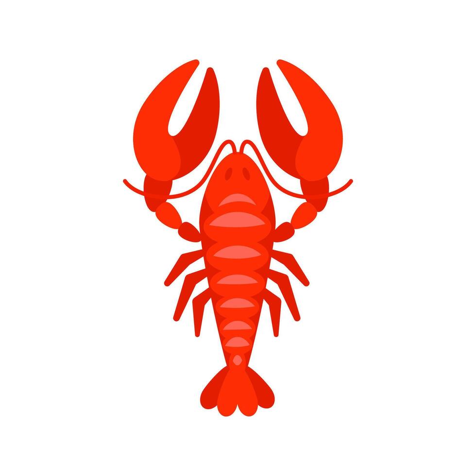 Red lobster showing its claws on white background vector