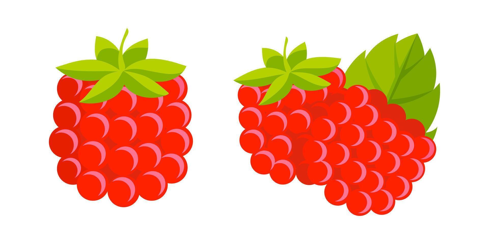 Two juicy raspberries symbolize the taste of summer and healthy lifestyle vector