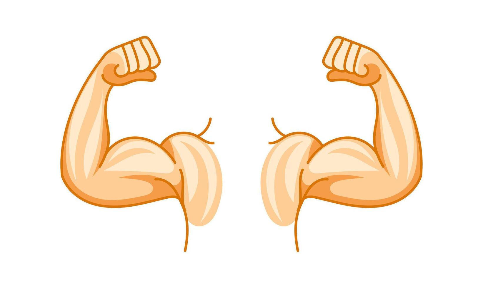 Strong arms showing biceps and fists on white background vector