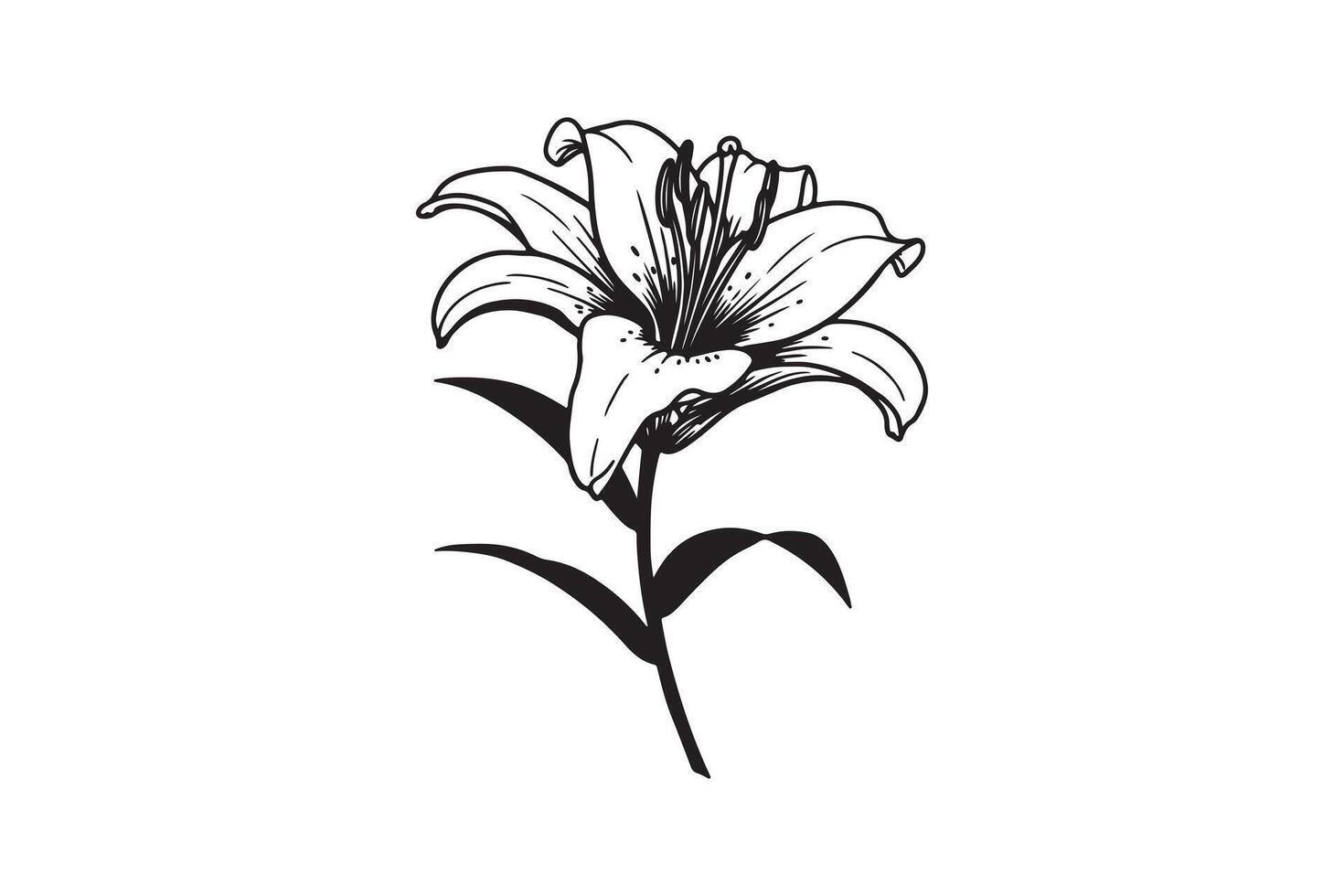 Stunning Lily Flower Silhouette for Graphic Design vector