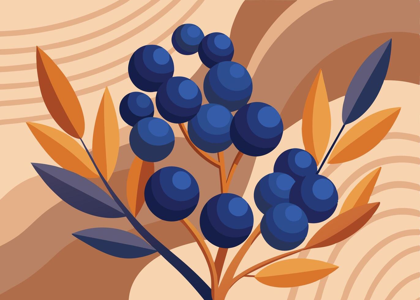 Black elderberry illustration vector