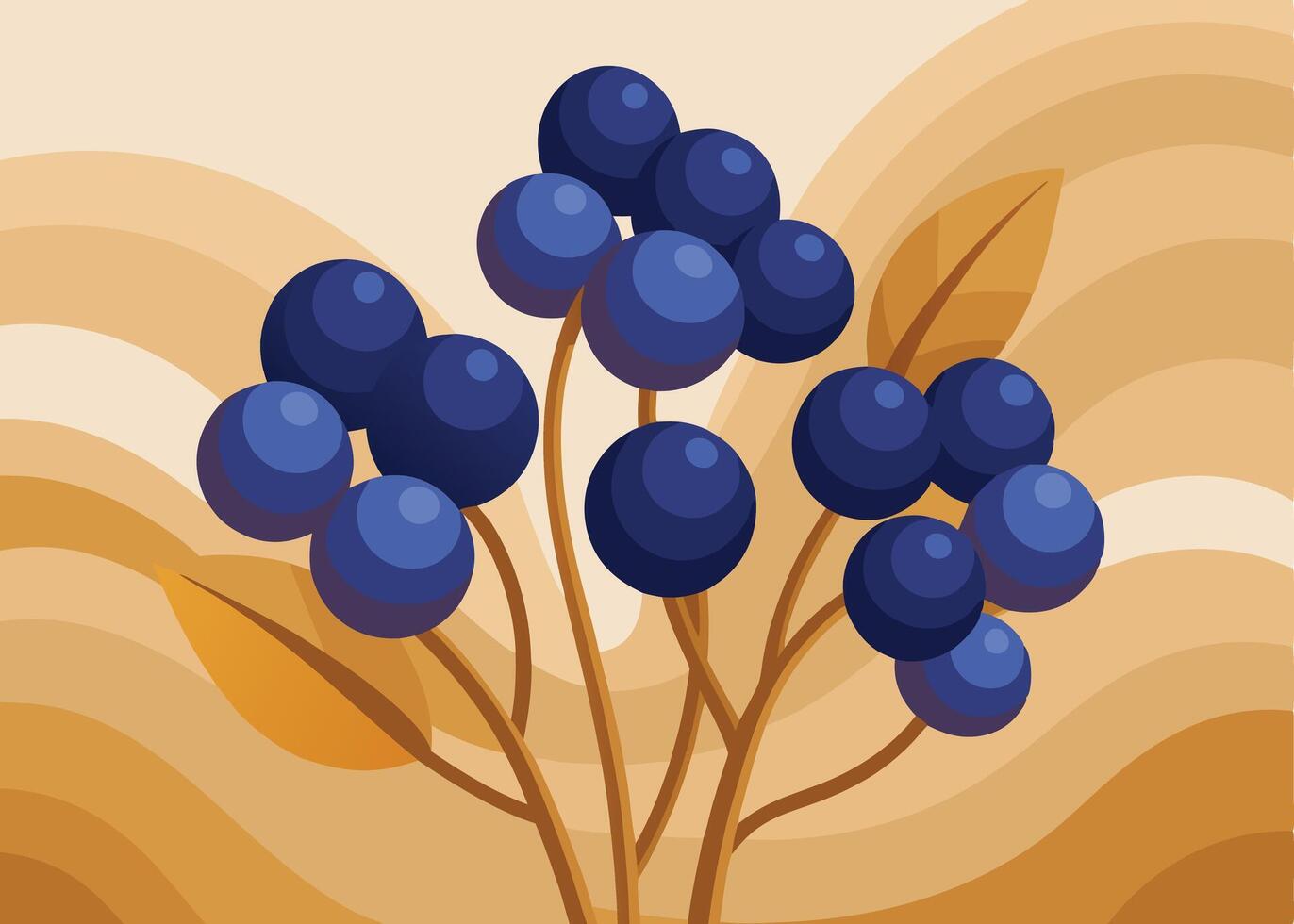 Chokeberry Fruit clipart vector