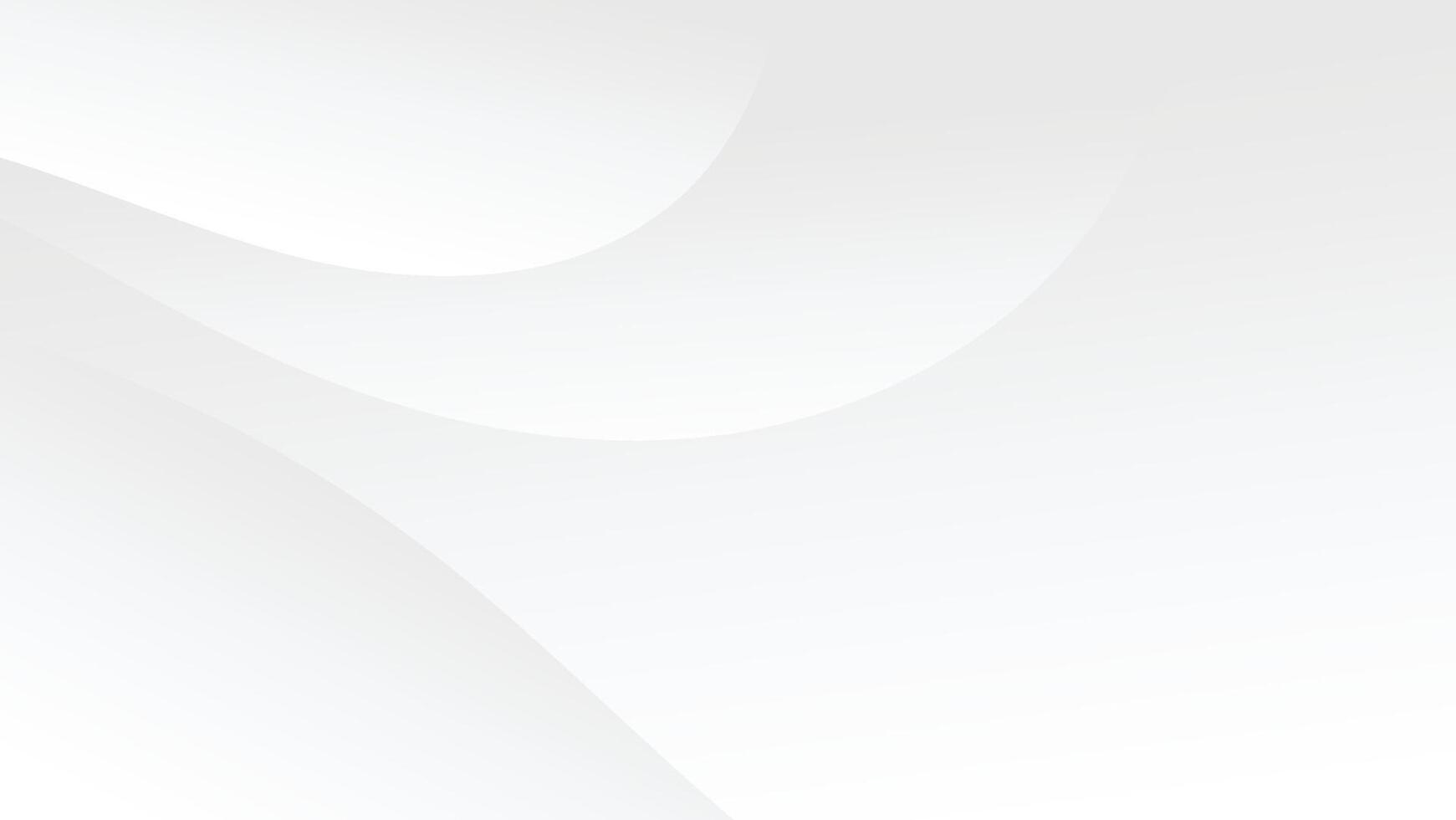 abstract white background with smooth decorative swirl lines flowing vector