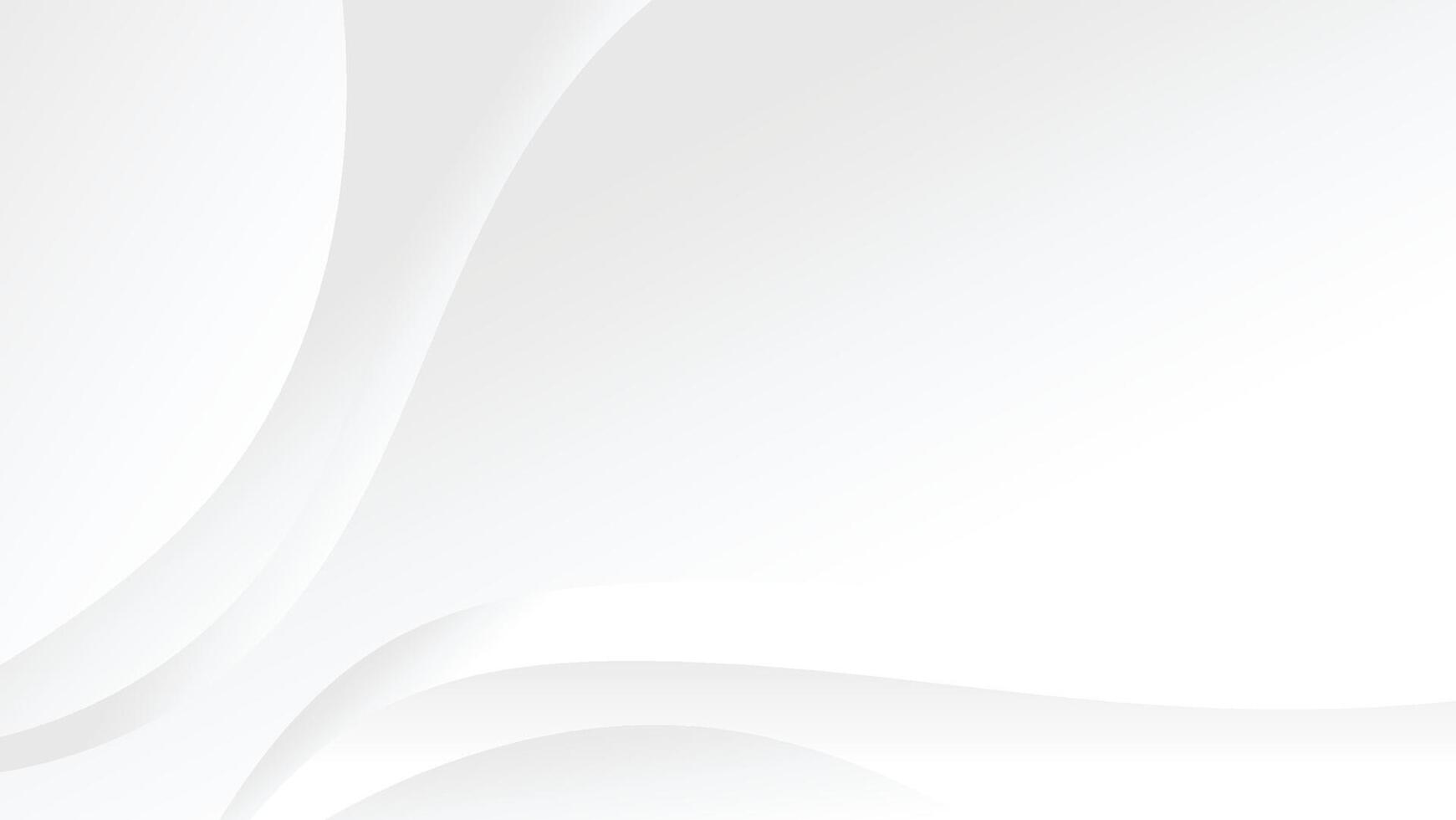 abstract white background with smooth swirl lines decoration vector