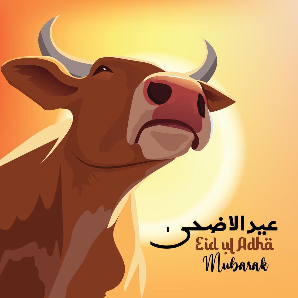 Eid al-Adha Mubarak Cow Illustration vector