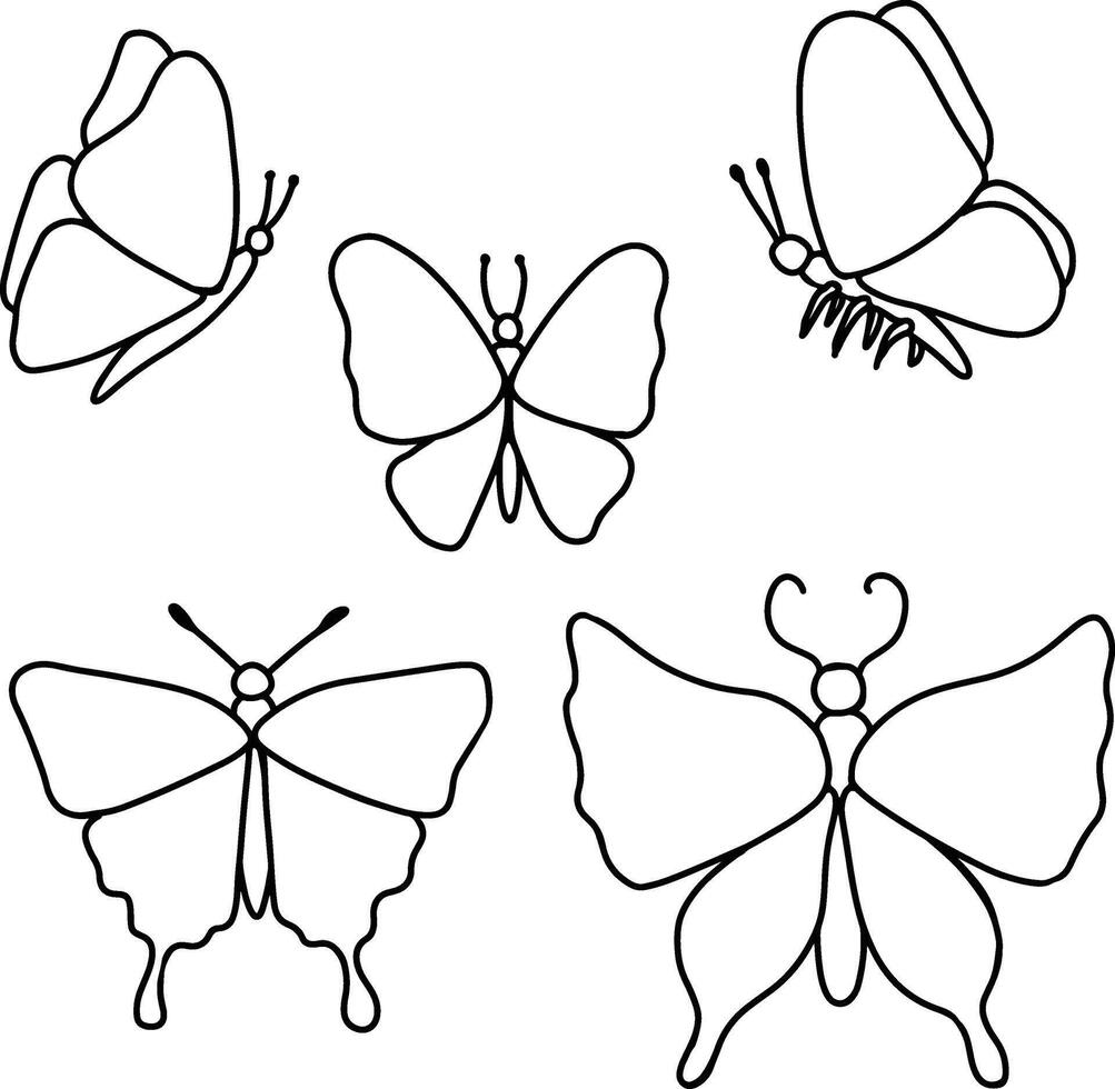 butterfly line art illustration vector