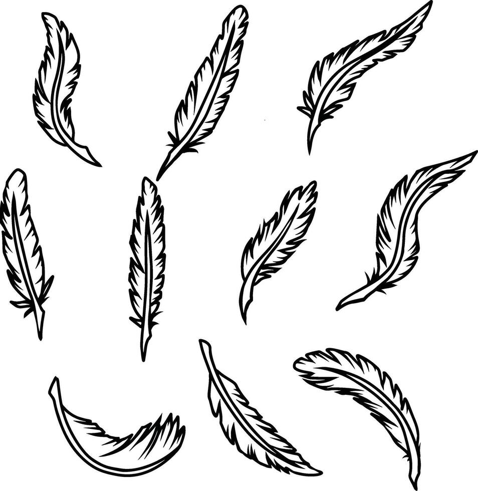 feather illustration set vector