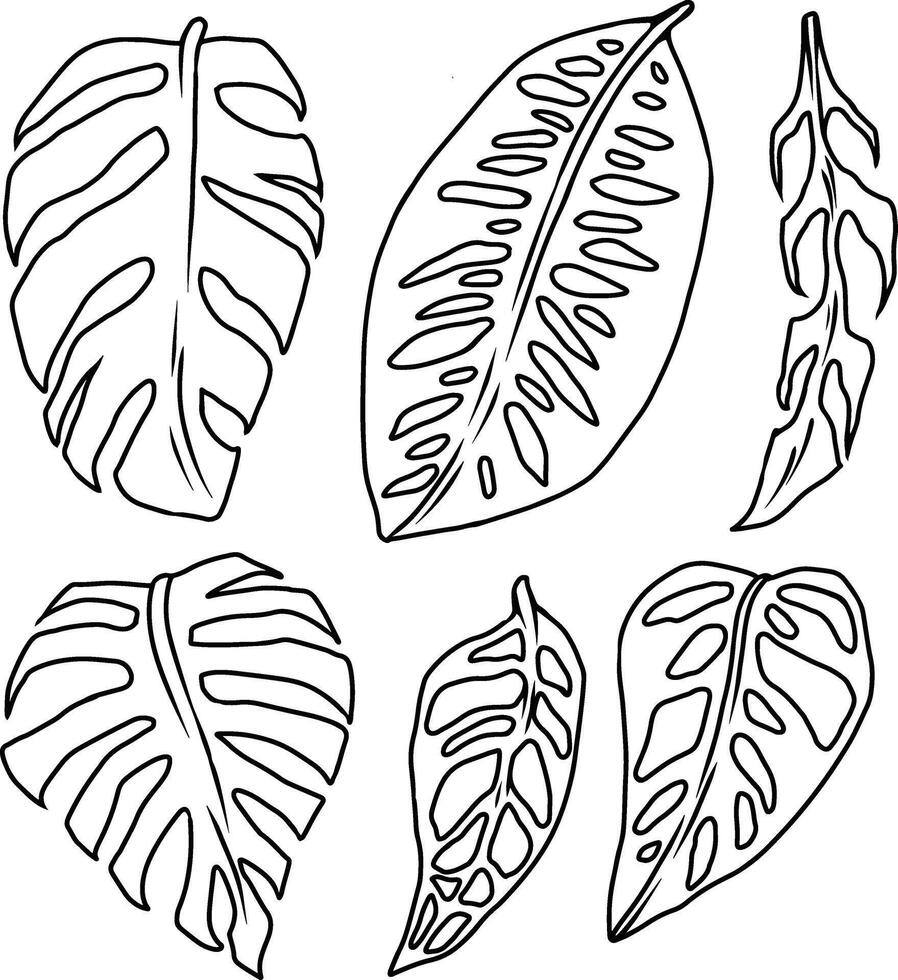 monstera line art vector