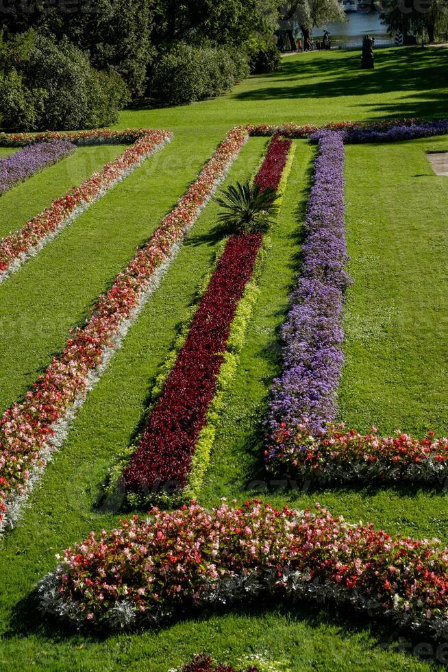 Beautiful floral patterns in the gardens of Catherine Palace showcasing vibrant colors and meticulous landscaping photo