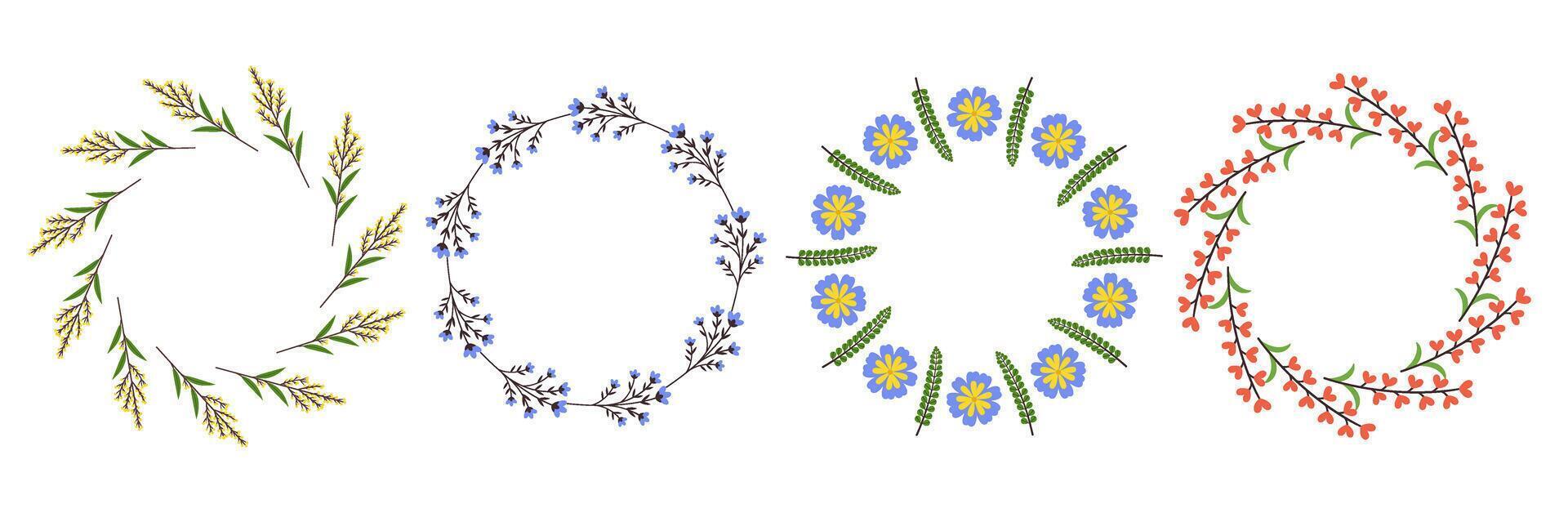 Botanical flower, plant, circle frame set. Floral wreath wild flower blossoms vector