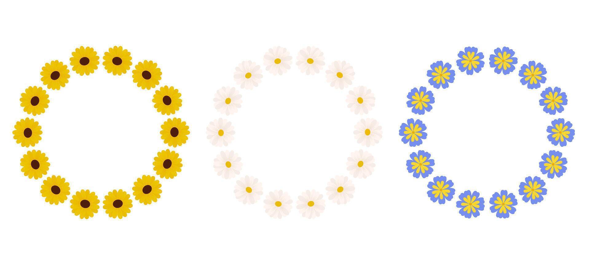 Botanical flower circle frame set. Floral wreath buds chamomile, sunflower and cornflower blossoms vector