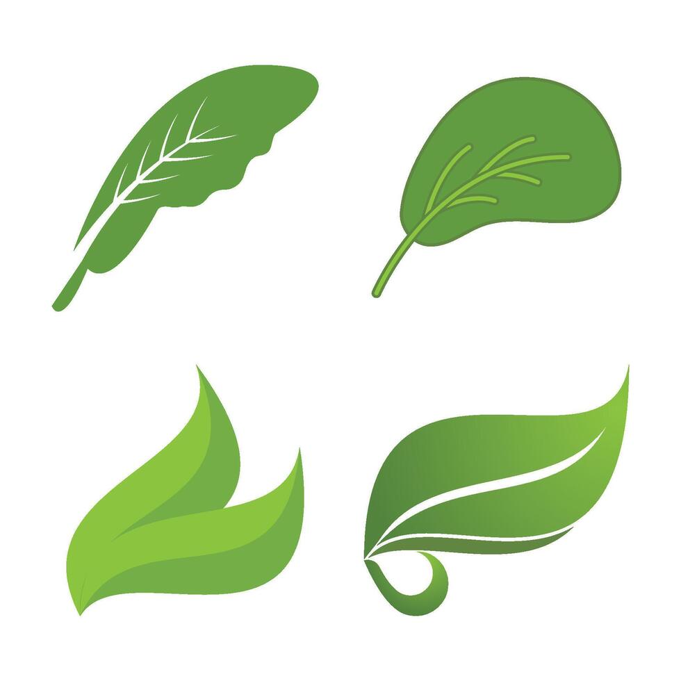 Green leaf eco vector