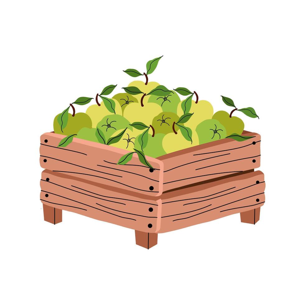 Rustic wooden box full of green apples and leaves. Perfect for harvest, farm, organic food themes. Flat illustration for packaging, branding, or seasonal markets. vector