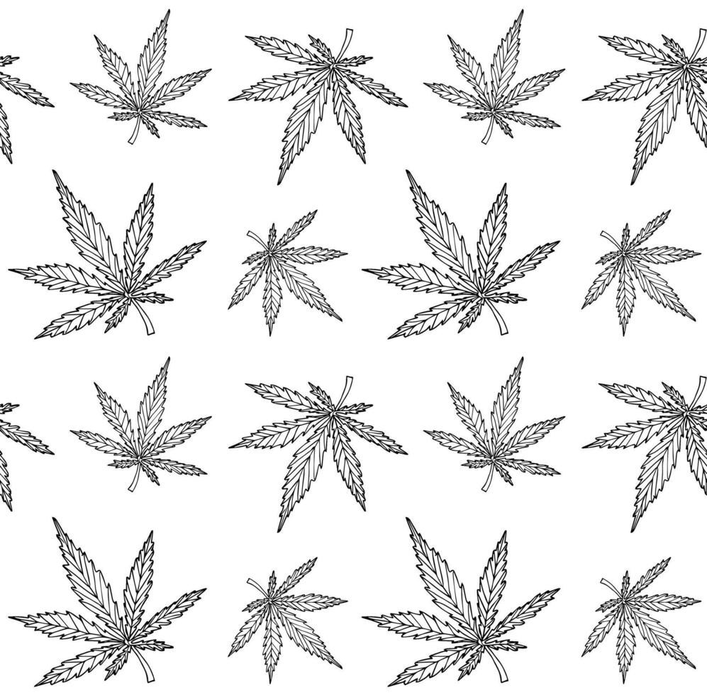 Seamless pattern of hand drawn doodle sketch hemp cannabis vector