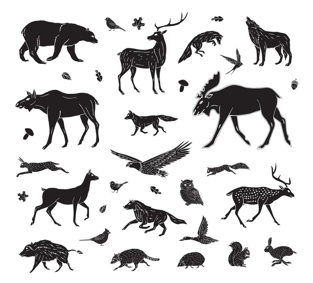 Set bundle of hand drawn doodle sketch wild forest animals vector