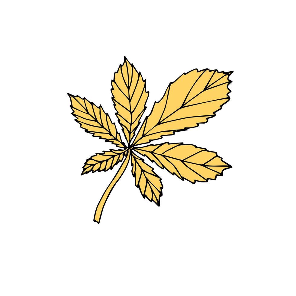 Hand drawn doodle sketch chestnut leaf isolated on white background vector