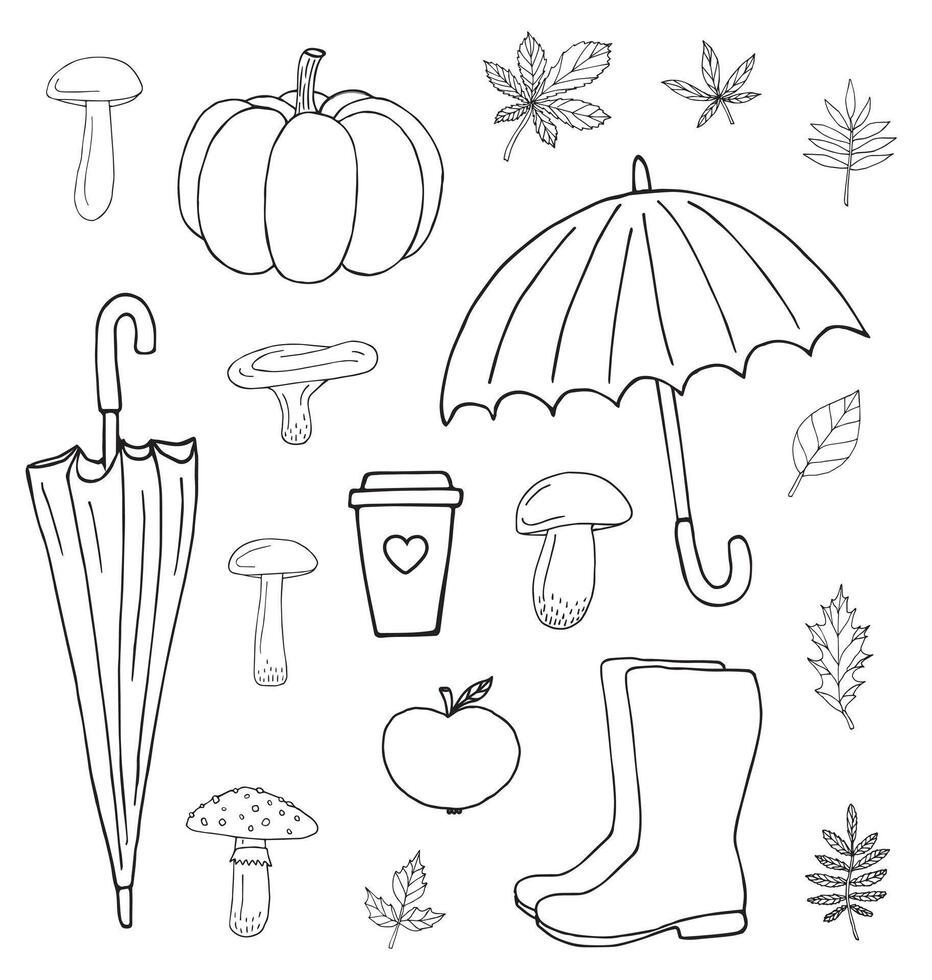 Set of hand drawn sketch autumn elements isolated on white background vector